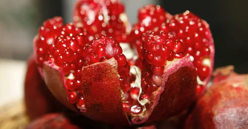 Can I Juice a Pomegranate in a Juicer